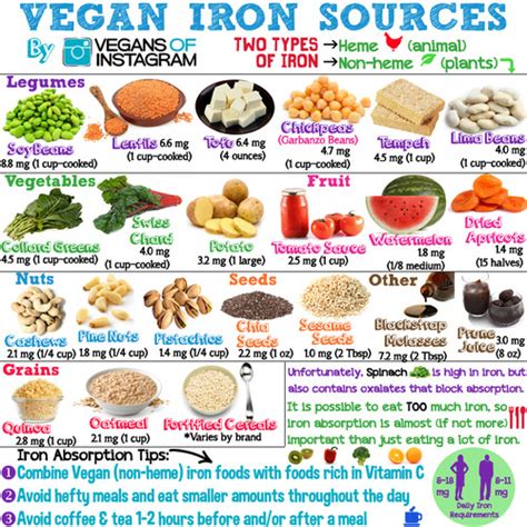 Do vegans have a higher risk of iron deficiency